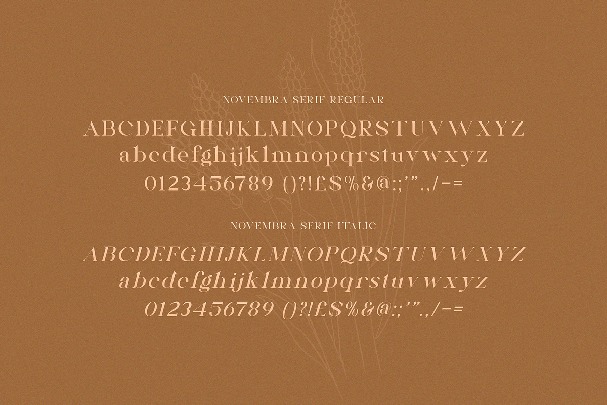 Novembra Serif Font Duo, a Serif Font by Salt & Pepper Designs (Photo 8 of 11)