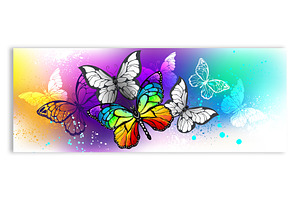 Profile Title With Rainbow Butterfly