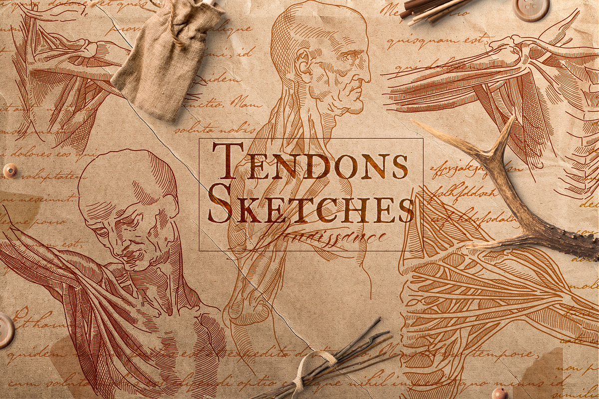 DA VINCI RENAISSANCE SKETCHES, an Object Illustration by Luna Dreams (Photo 4 of 16)
