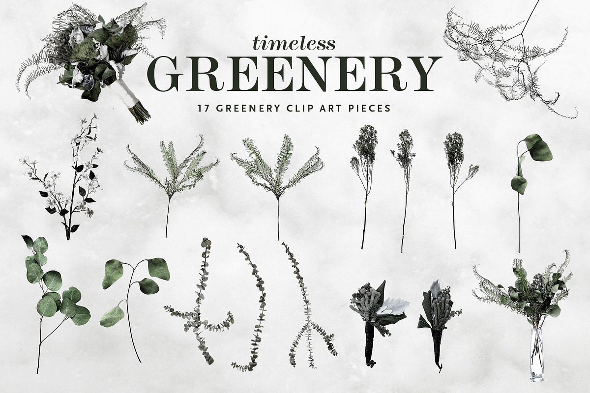 Timeless Greenery – Crafted Clip Art, a Texture Illustration by Scott Howard (Photo 5 of 7)