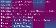 Elegia, a Serif Font by Wiescher-Design (Thumbnail 5 of 5)