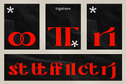 Ligerid - Chic Serif Font, a Serif Font by Eztudio (Thumbnail 13 of 14)