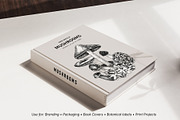 Mushrooms Vector Illustration Bundle, a Food Illustration by Yevheniia (Thumbnail 7 of 8)