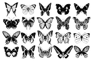 Butterflies Hand Drawn Collection