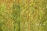Urban Inked Backgrounds, a Texture Graphic by TheUrbanLine (Thumbnail 5 of 10)