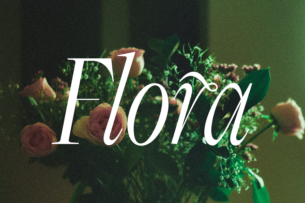 Dark Paradise - Modern Serif Font, a Serif Font by Tropical Type (Photo 11 of 11)
