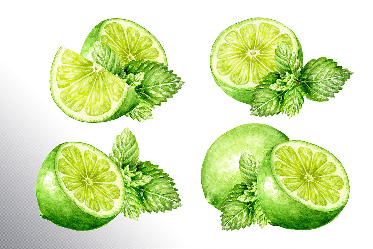 Lime citrus. Watercolor collection, a Food Illustration by Daria Ustiugova (Photo 4 of 21)