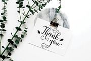 Shahira script, a Script Font by Madjack.font (Thumbnail 8 of 8)