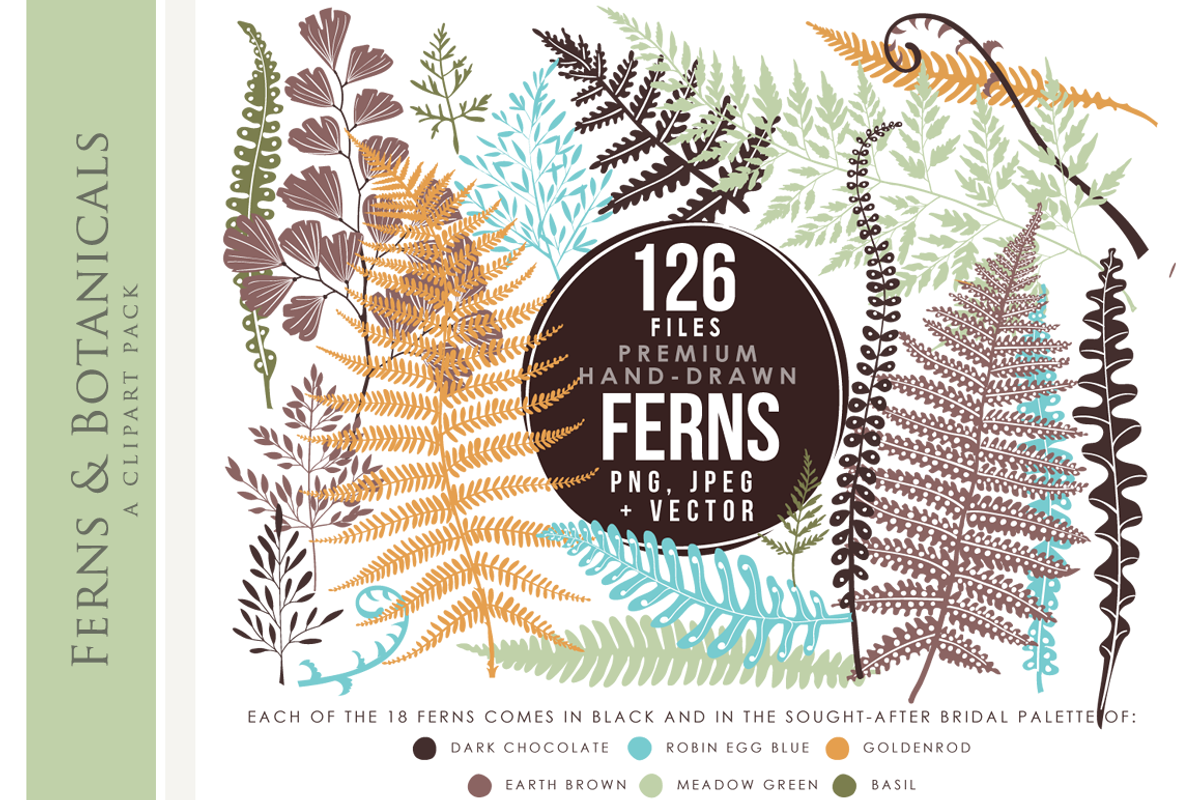 Ferns clip art hand drawn clipart, an Illustration by WinchesterLambourne