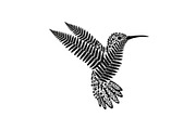 Decorative Floral Hummingbird Bundle, an Illustration by jahid234 (Thumbnail 22 of 31)