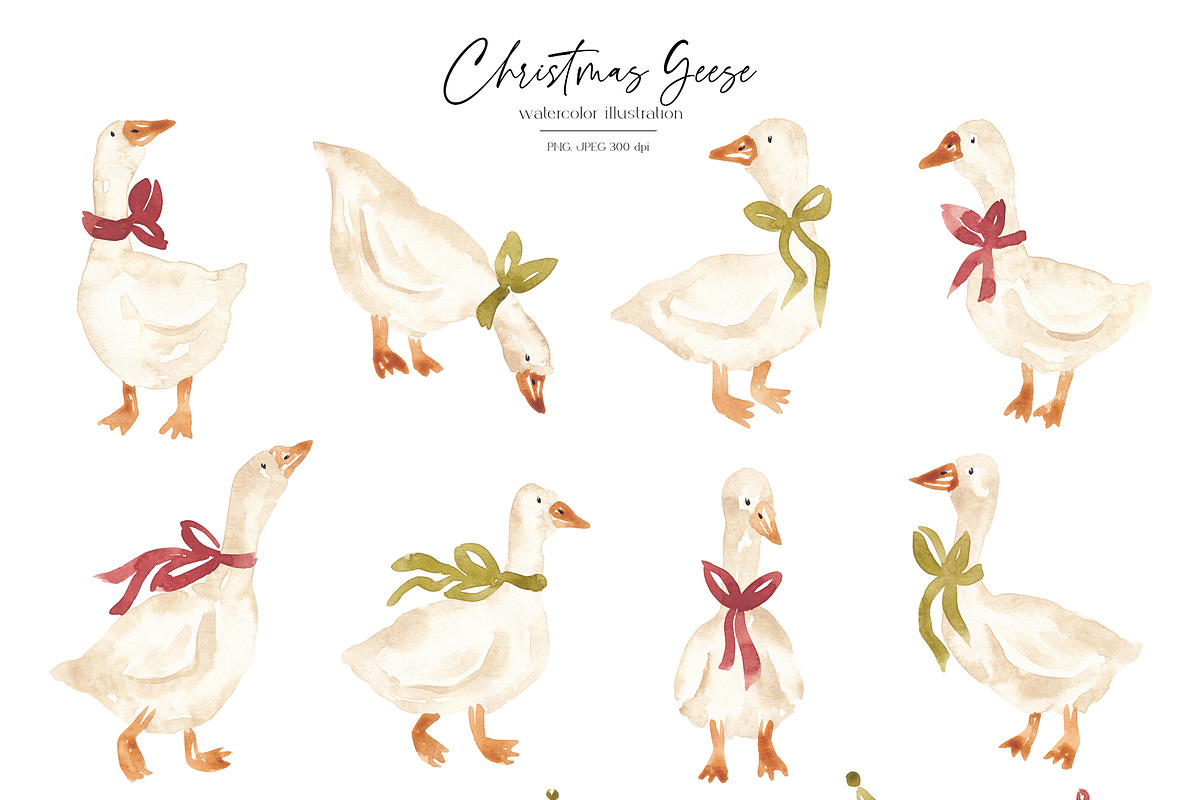 Christmas geese collection, an Animal Illustration by SirenaArt (Photo 3 of 15)