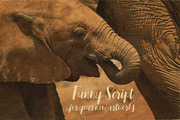 Sidebook Script Font, a Script Font by Deeezy (Thumbnail 2 of 6)
