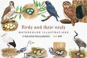 Watercolor Birds and their Nests PNG