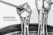 European Food & Drinks Illustrations, a Food Illustration by Yevheniia (Thumbnail 6 of 8)