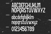 Basehand - Rough Condensed Font, a Sans Serif Font by Typeparties (Thumbnail 9 of 9)