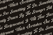 Brellight Elegant Script Font, a Script Font by timelesstype.co (Thumbnail 7 of 20)