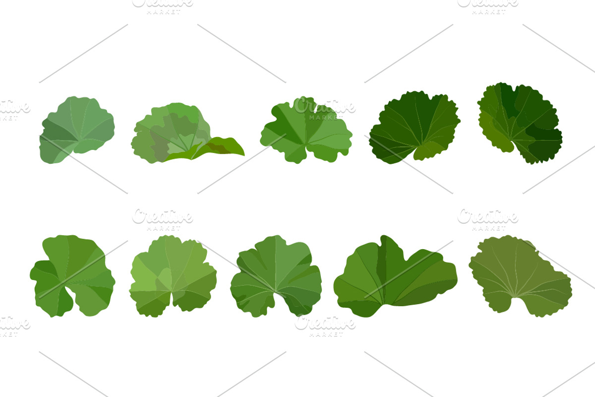 Vector object brushes. Geranium. preview 5