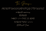 The Diary // Stylish Script Typeface, a Script Font by GDcreative (Thumbnail 7 of 9)
