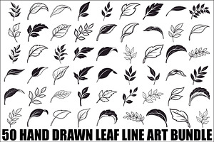 Hand Drawn Leaf Line Art Bundle, an Illustration by hafijul