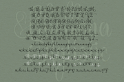 Abellona Script, a Script Font by TypeClassHeroes (Thumbnail 8 of 11)