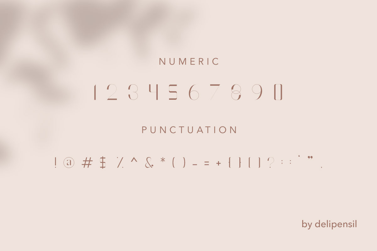 Algala - Elegant Medium Font preview 3