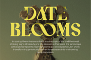 Caooli - Elegant Serif Font, a Serif Font by MaikoHatta (Thumbnail 2 of 8)