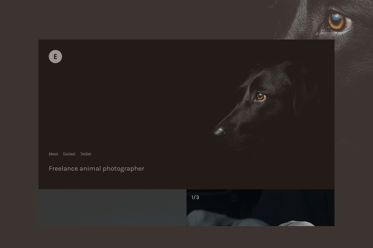 Elissa Side, a Websites & App Template by SideThemes (Photo 4 of 6)