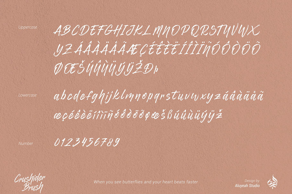 Crushider Brush, a Script Font by Aluyeah Studio (Photo 13 of 14)