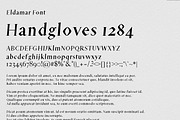 Eldamar Font, a Font by Eldamar Studio (Thumbnail 2 of 2)
