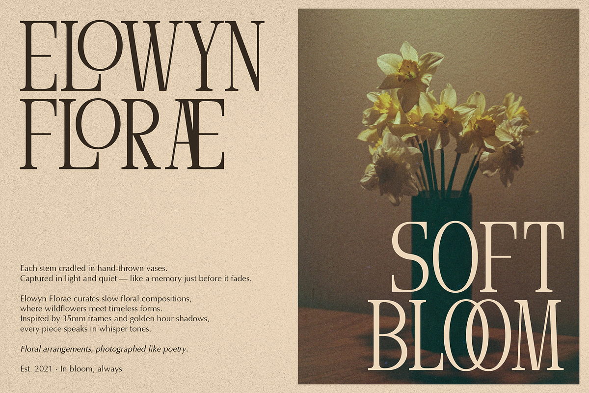 Arnnelo | Modern Display Serif, a Serif Font by gracetype_studio (Photo 6 of 12)