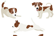 Jack Russell Terrier, an Animal Illustration by Orangepencil (Thumbnail 4 of 12)