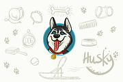 Husky dog, an Illustration by adi katz (Thumbnail 1 of 4)