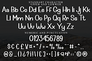 Cinamon Cookies, a Script Font by FreshTypeINK (Thumbnail 7 of 8)