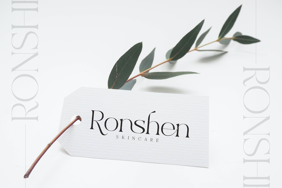 Excrallik Modern Serif, a Serif Font by Denustudios (Photo 3 of 7)