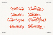 The Rachery, a Script Font by MERCURIAL (Thumbnail 11 of 14)