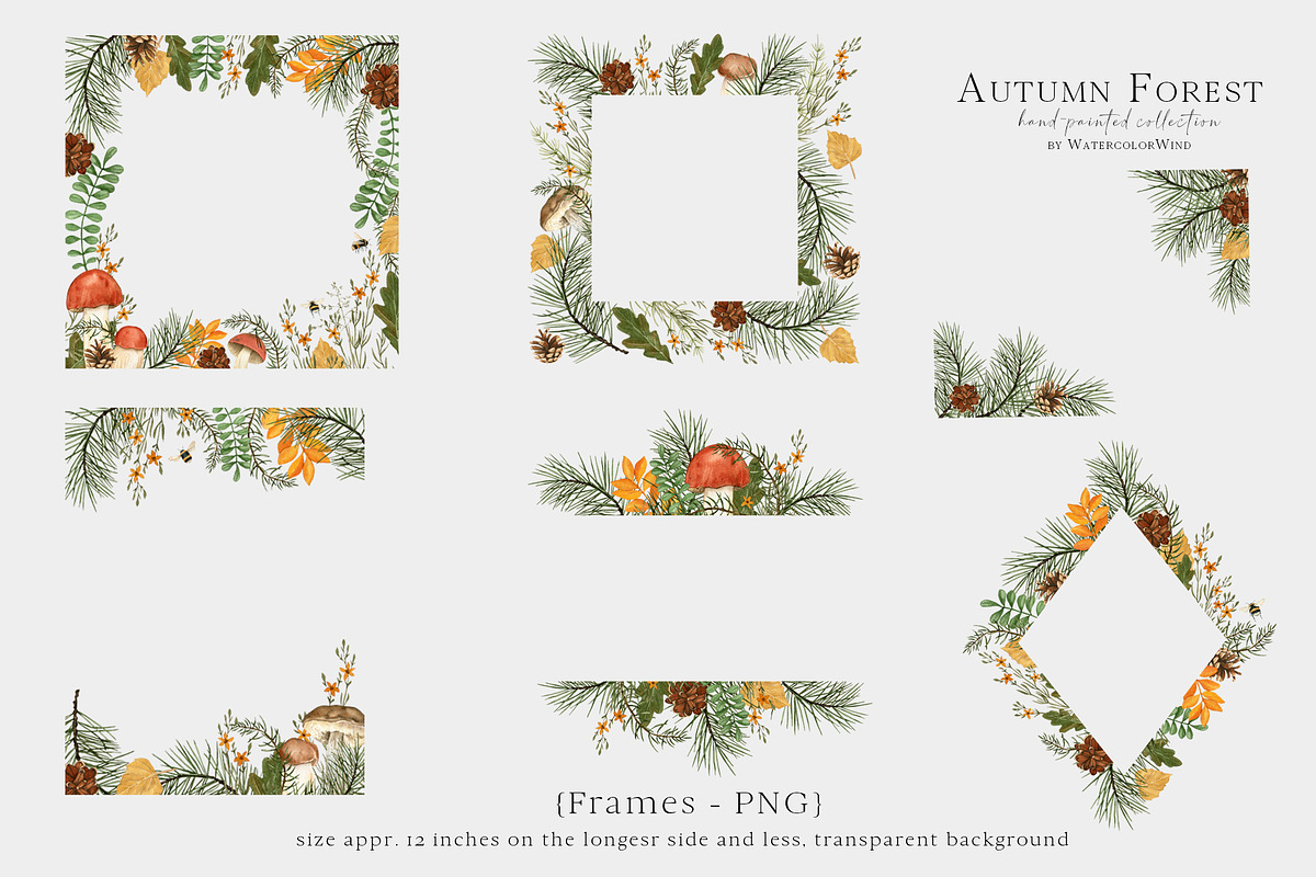 Fall forest mushrooms clipart, an Illustration by Ksenia Shmakova (Photo 9 of 11)