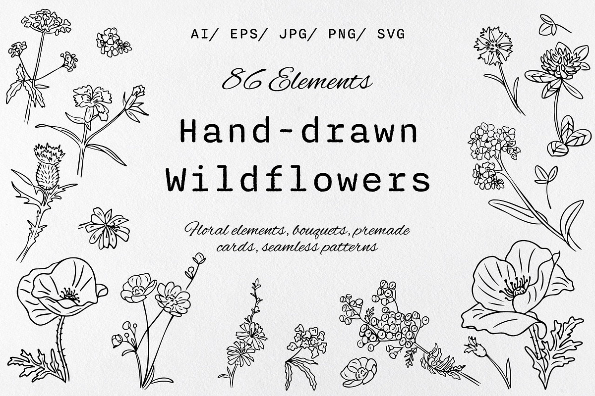 Hand-Drawn Wildflowers, a Decorative Illustration by Decor Lines (Photo 1 of 10)