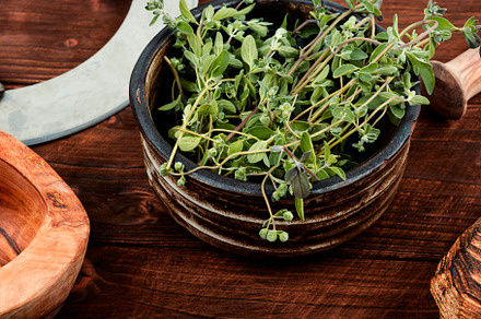 Raw sprig of marjoram, spice, a Health & Medical Photo by MLunov MLunov