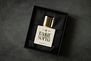Magoth Modern Serif Display Font, a Serif Font by timelesstype.co (Thumbnail 15 of 20)