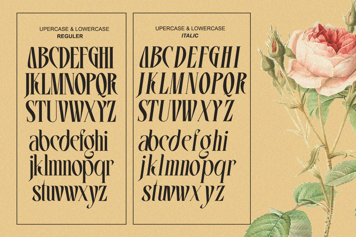 Vrassco - Modern Display Serif, a Serif Font by Qweera Studio (Photo 12 of 12)
