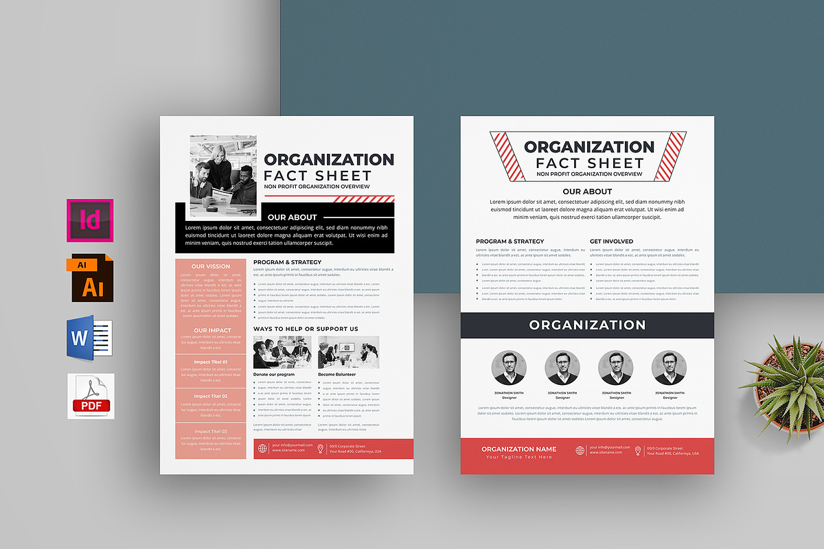 Nonprofit Organization Fact Sheet, a Flyer Template by obayes