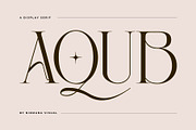 Aqub - Modern Serif Font, a Serif Font by Nirmana Visual (Thumbnail 1 of 10)