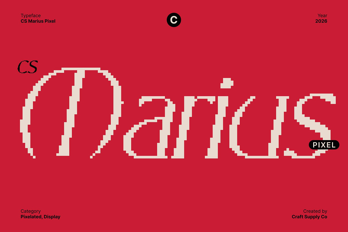 CS Marius Pixel, a Serif Font by Craft Supply Co. (Photo 1 of 8)