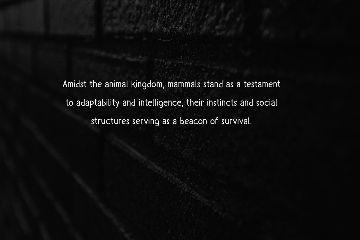 Mamallia - Handwriting font, a Handwritten Font by portype (Photo 5 of 6)