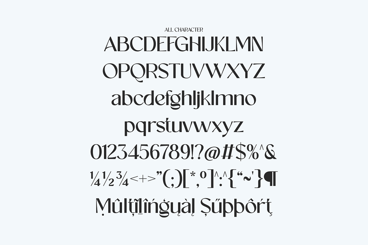 Aethera Modern Stylish Serif Font, a Serif Font by Morand Union (Photo 6 of 7)