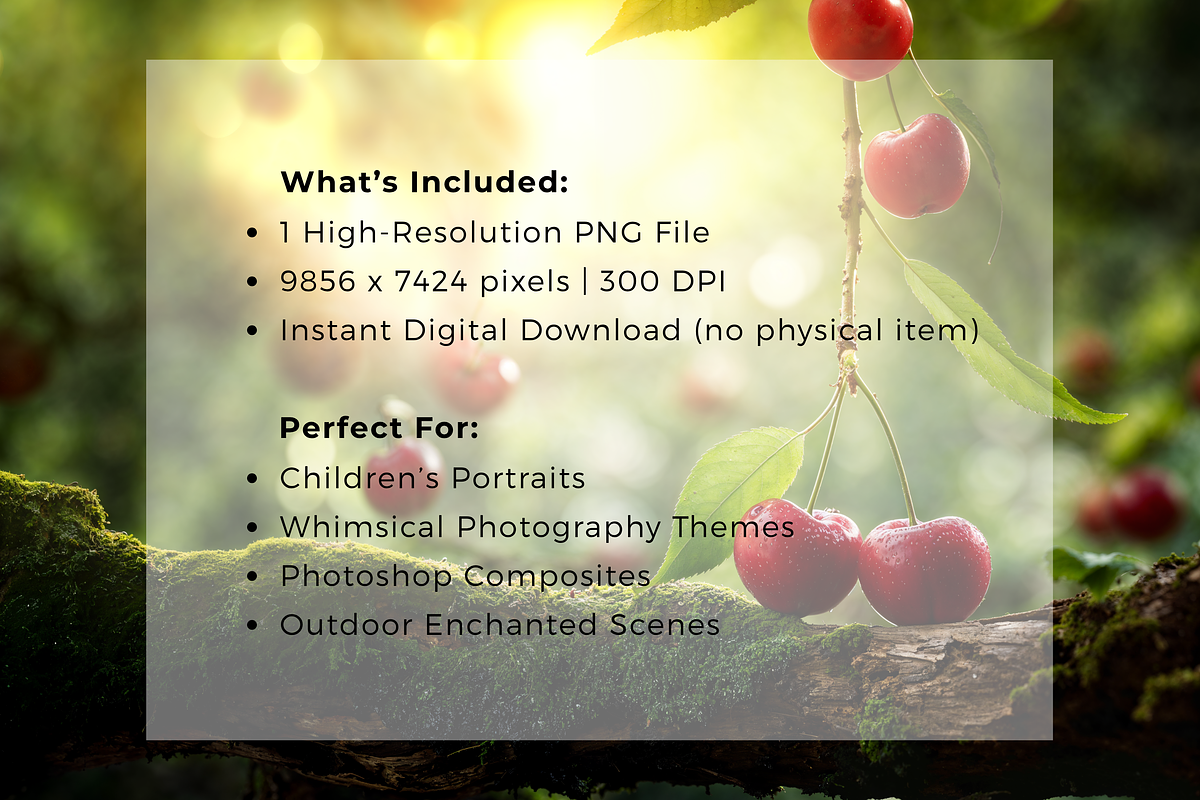 Red Cherry Dream -  Digital Backdrop, a Background Photo by Winwin Design Art (Photo 4 of 5)