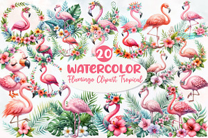 Watercolor Flamingo Clipart Tropical, an Illustration by Designworld