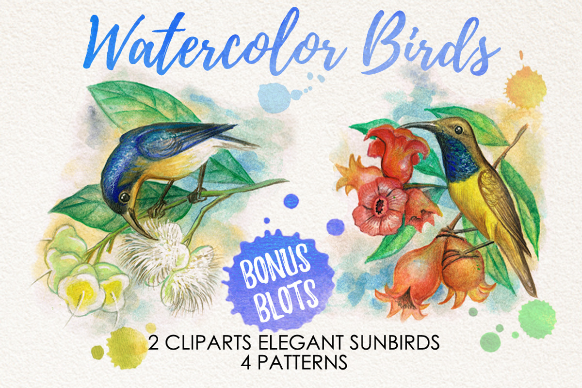 watercolor birds, an Illustration by Graphobia (Photo 1 of 5)
