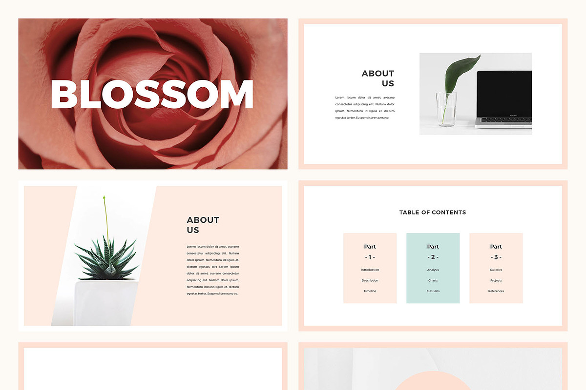 Blossom Presentation Template, a Presentation Template by SlideStation (Photo 7 of 8)