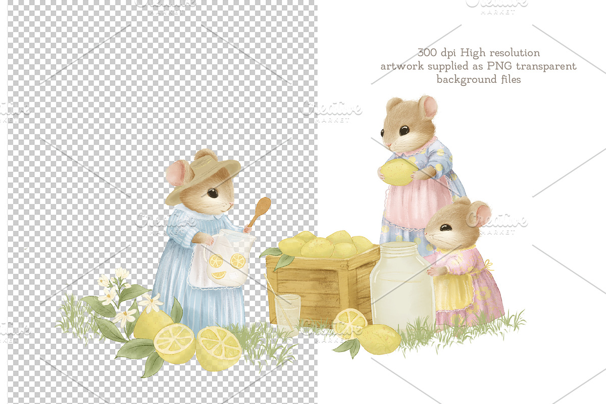 Lemon Garden Collection, a Seasonal Illustration by AlenaVlasko stock Market (Photo 2 of 10)